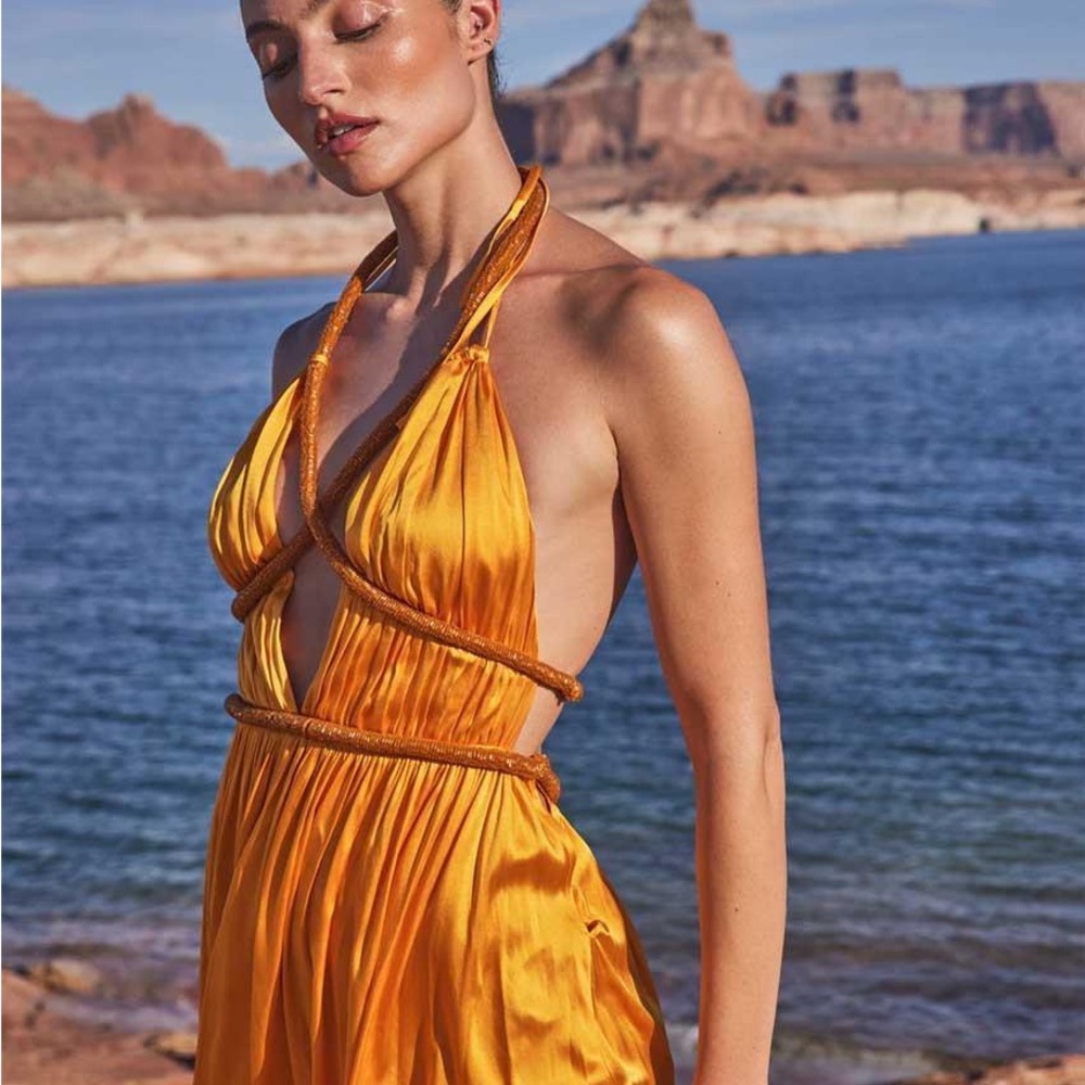 Cult Gaia Silk Gown size 4 worn once